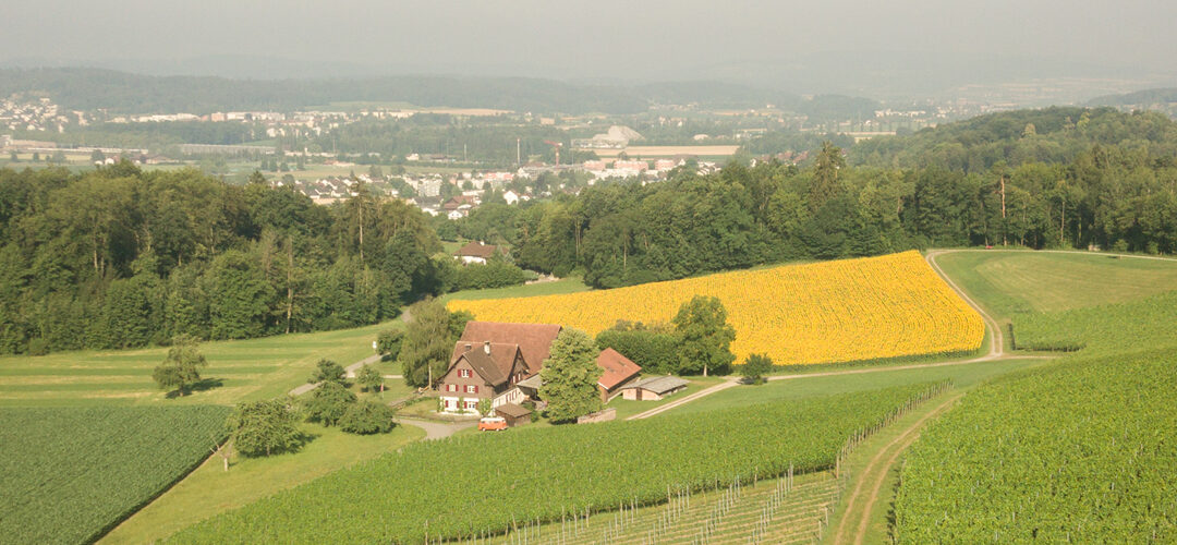 Winery Kindhauser – Berghof