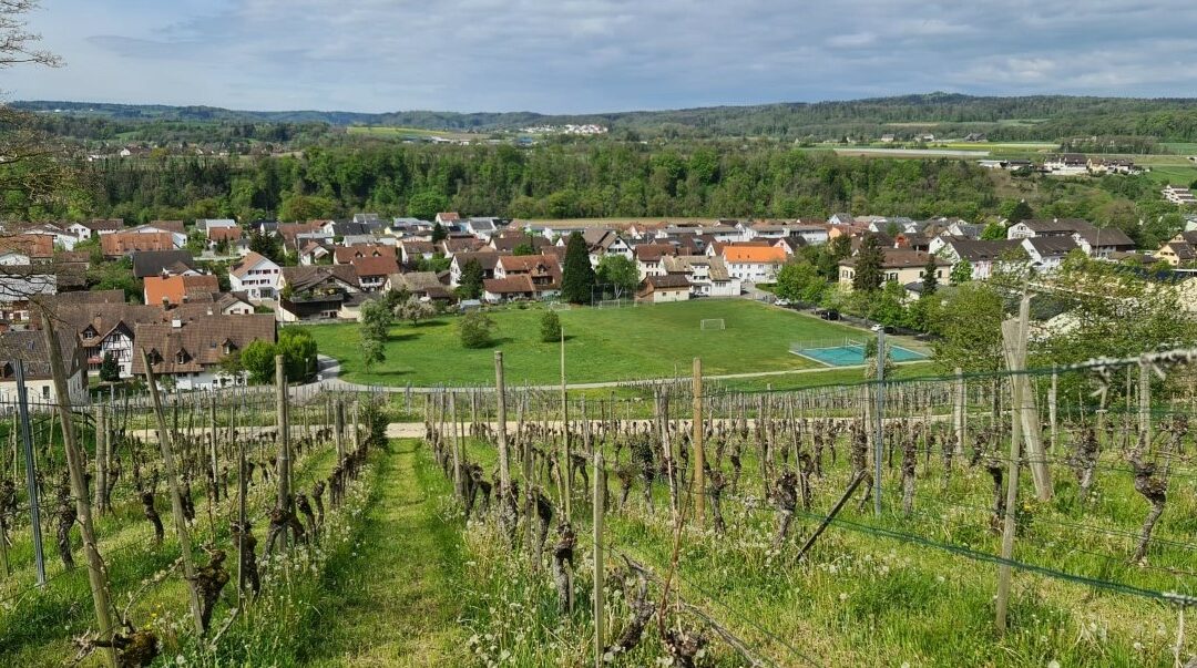 Winery Spahn Dachsen